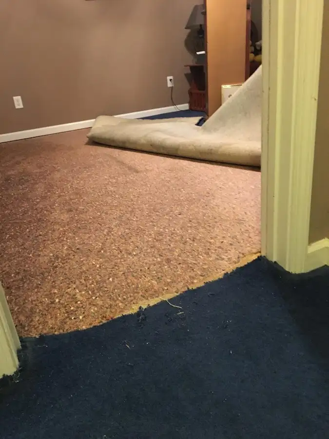 Carpet pad removal revealing water damage during Water Mitigation Services in Penfield