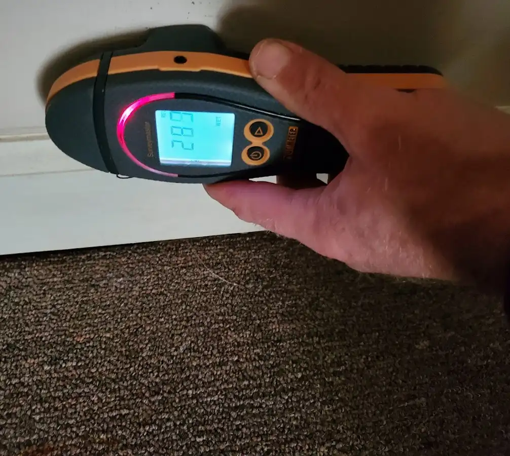 Moisture detection at baseboard during Mold Inspection & Testing in Penfield